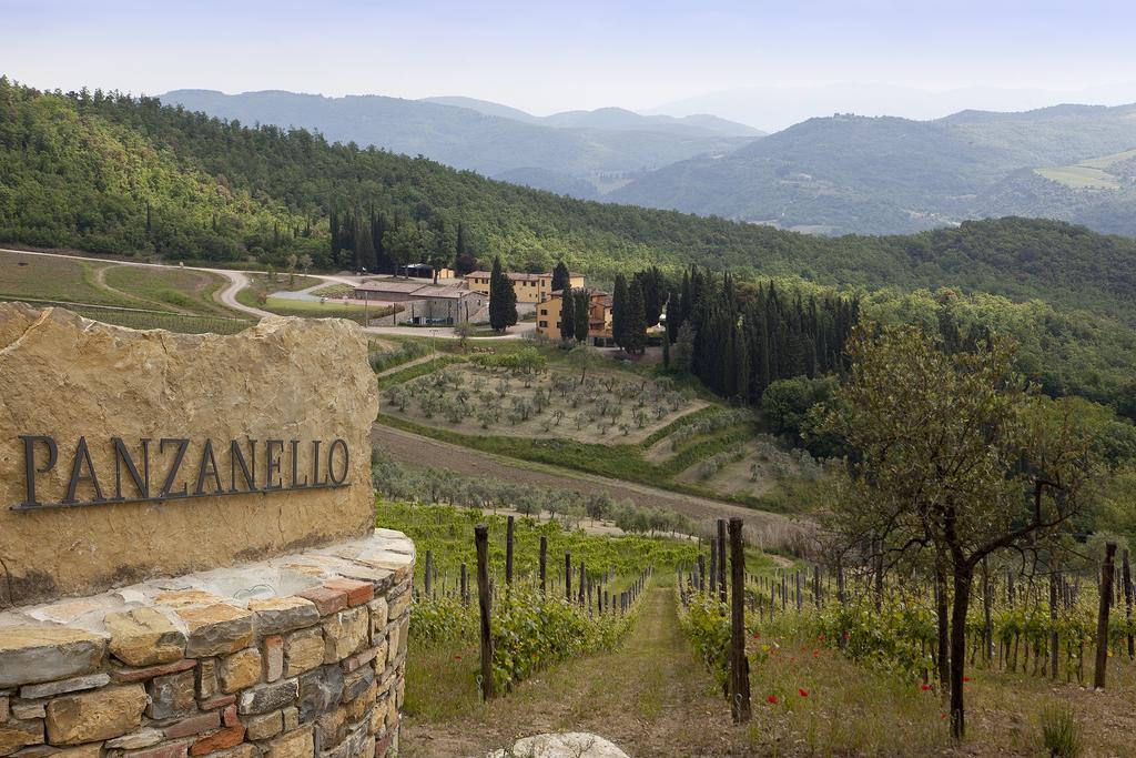 Agriturismo Panzanello Panzano in Chianti Esterno foto