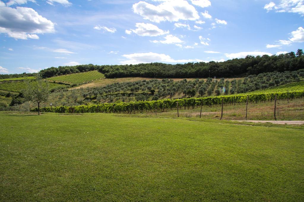 Agriturismo Panzanello Panzano in Chianti Esterno foto